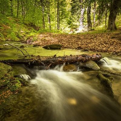 网赌游戏软件排行榜